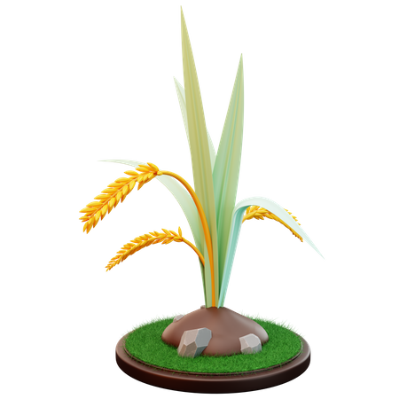 Wheat Plant 3D Illustration