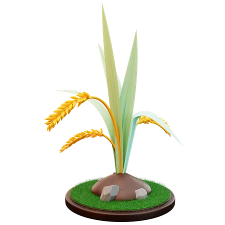 Wheat Plant  3D Illustration