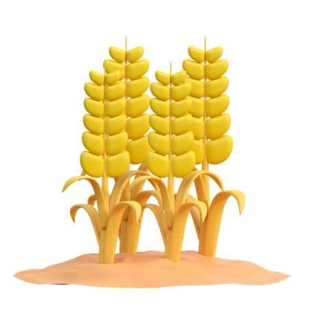 Wheat Plant  3D Icon