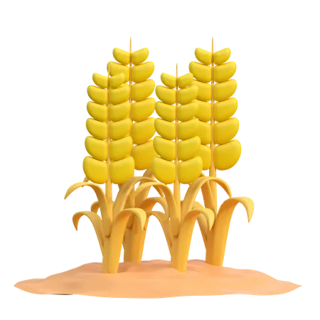Wheat Plant 3 D Icon Illustration 3D Icon