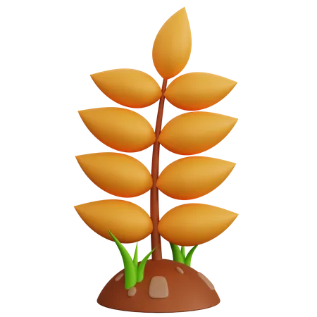 Wheat Plant 3D Icon