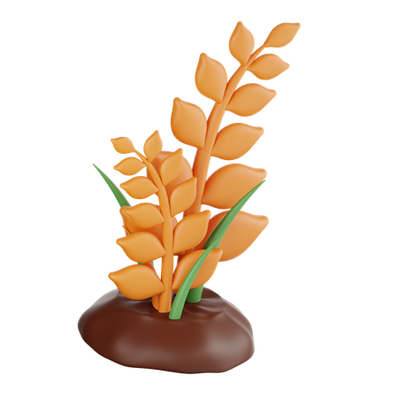 Wheat tree  3D Icon