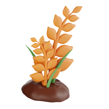 Wheat tree  3D Icon