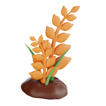 Wheat tree  3D Icon