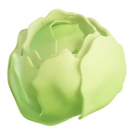 White Cabbage  3D Icon