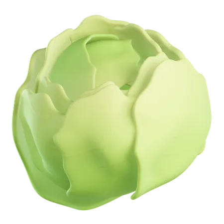 White Cabbage  3D Icon