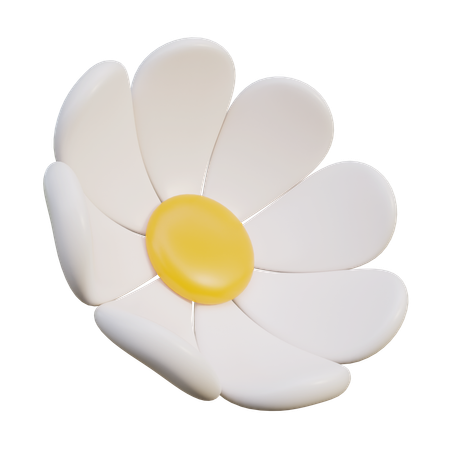 White Daisy Flower  3D Icon