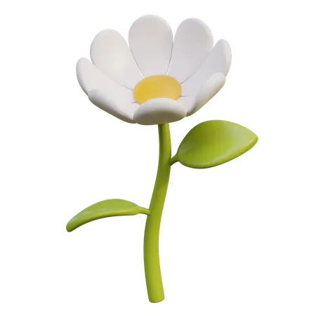 White Daisy Flower  3D Icon