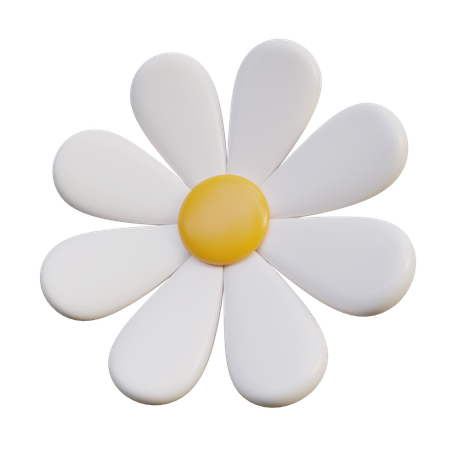 White Daisy Flower  3D Icon