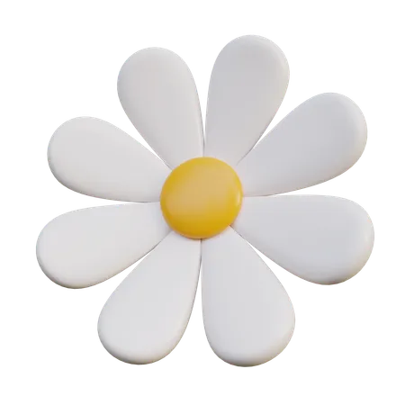 White Daisy Flower  3D Icon