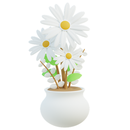White Daisy Flowers  3D Icon
