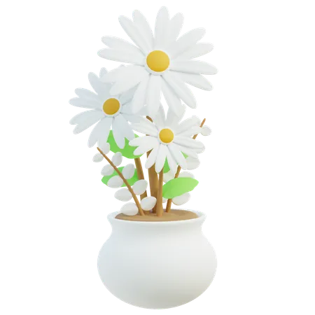 White Daisy Flowers In Round Pot 3D Icon