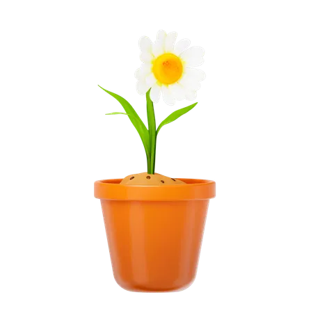 White Flower  3D Icon