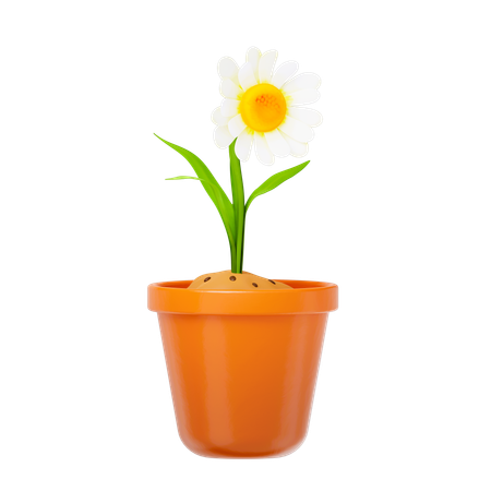 White Flower  3D Icon