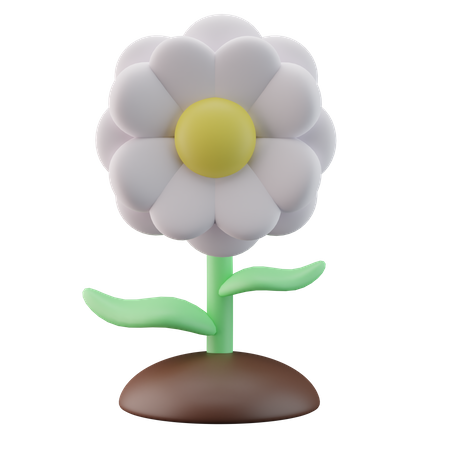 White Flower 3D Illustration