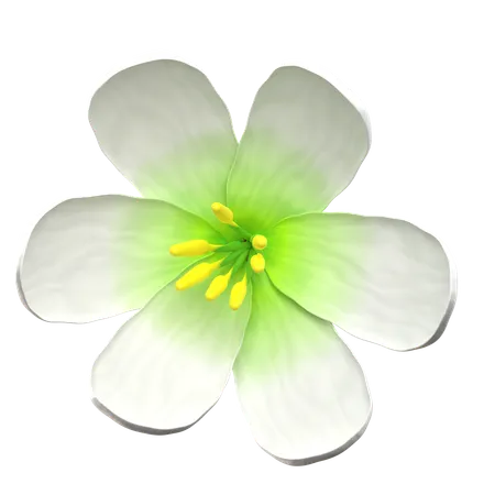 White Lotus Flower  3D Icon