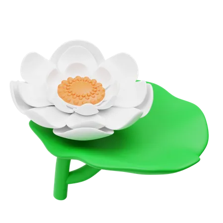 White Lotus Flower  3D Icon