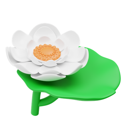 White Lotus Flower  3D Icon