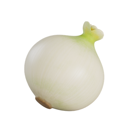 White Onion  3D Illustration