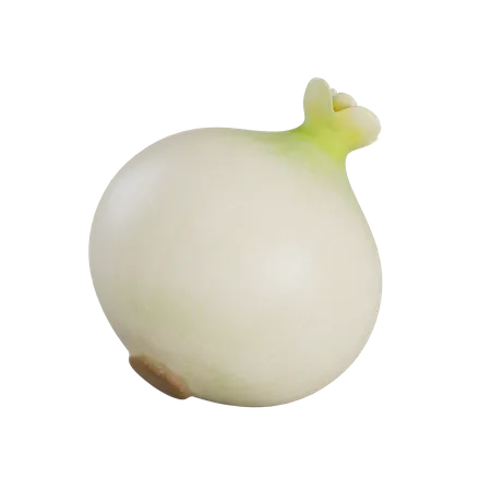 White Onion  3D Illustration