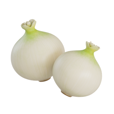 White Onion  3D Illustration