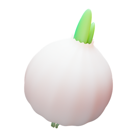 White Onion  3D Illustration