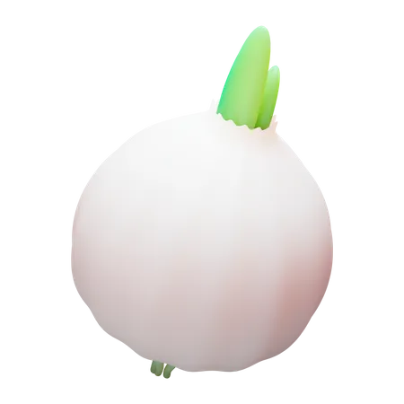 White Onion  3D Illustration