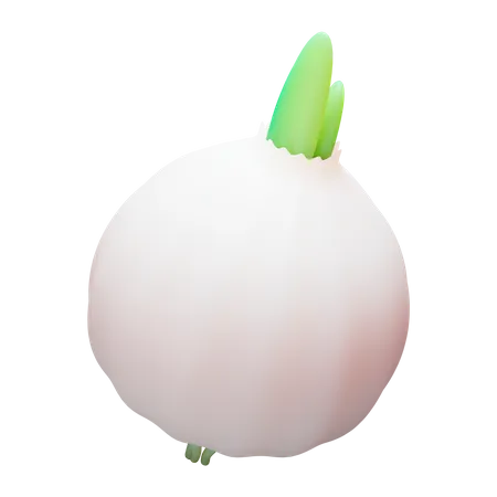 White Onion 3D Illustration