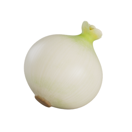 White Onion 3D Illustration