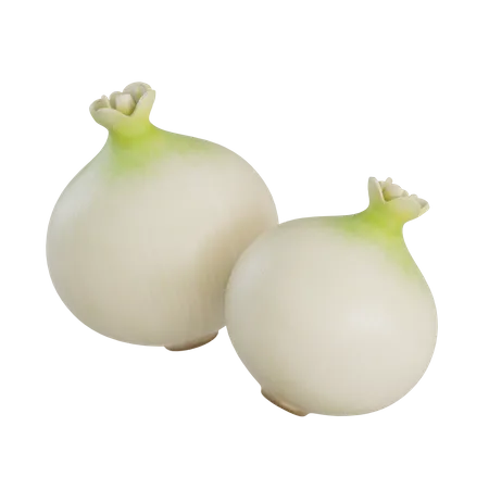 White Onion  3D Illustration