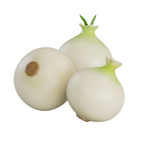 White Onions  3D Illustration