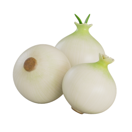 White Onions 3D Illustration