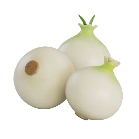 White Onions  3D Illustration