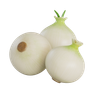onions 3d images