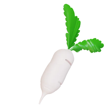 White Radish  3D Icon