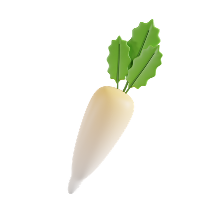 White radish  3D Icon