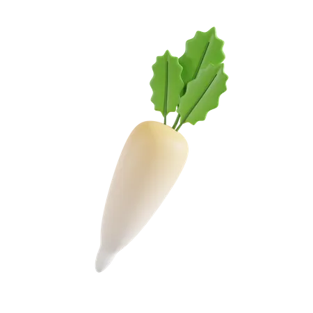 White radish  3D Icon