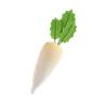 White radish