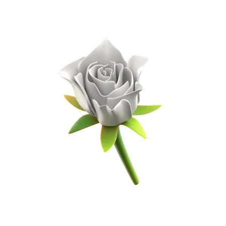 White Roses Flower  3D Icon