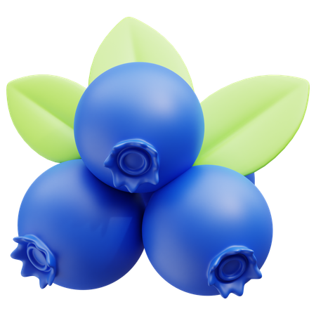 Wild Blueberry  3D Icon