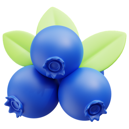 Wild Blueberry  3D Icon