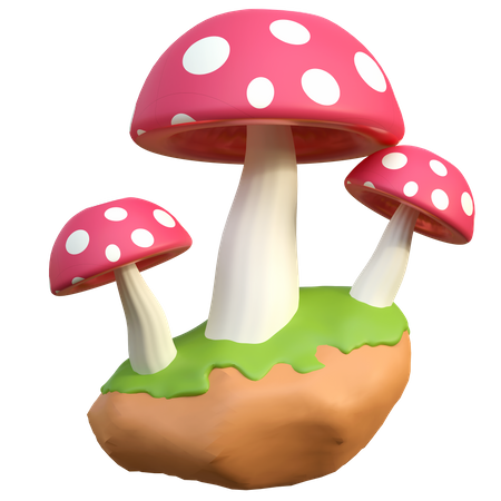 Wild Mushroom  3D Icon