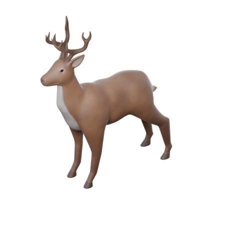 Wildlife Experience  3D Icon