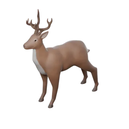 Wildlife Experience  3D Icon