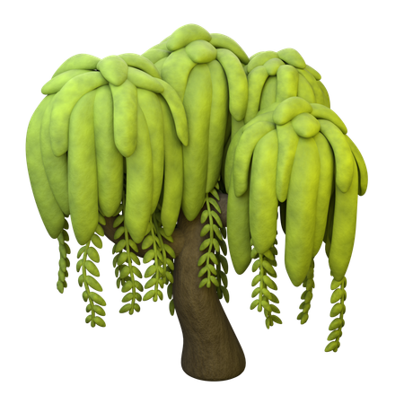 Willow Tree  3D Icon