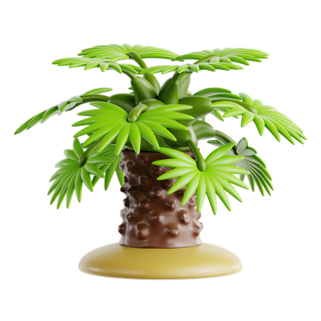 Windmill Palm  3D Icon