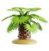 Windmill Palm