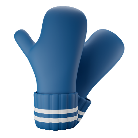 Winter Gloves  3D Illustration