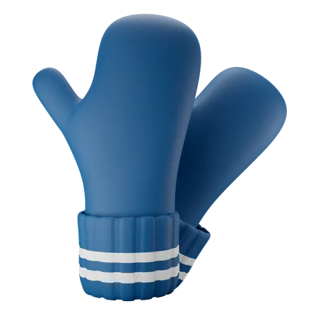 Winter Gloves 3D Illustration