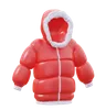 Winter Jacket